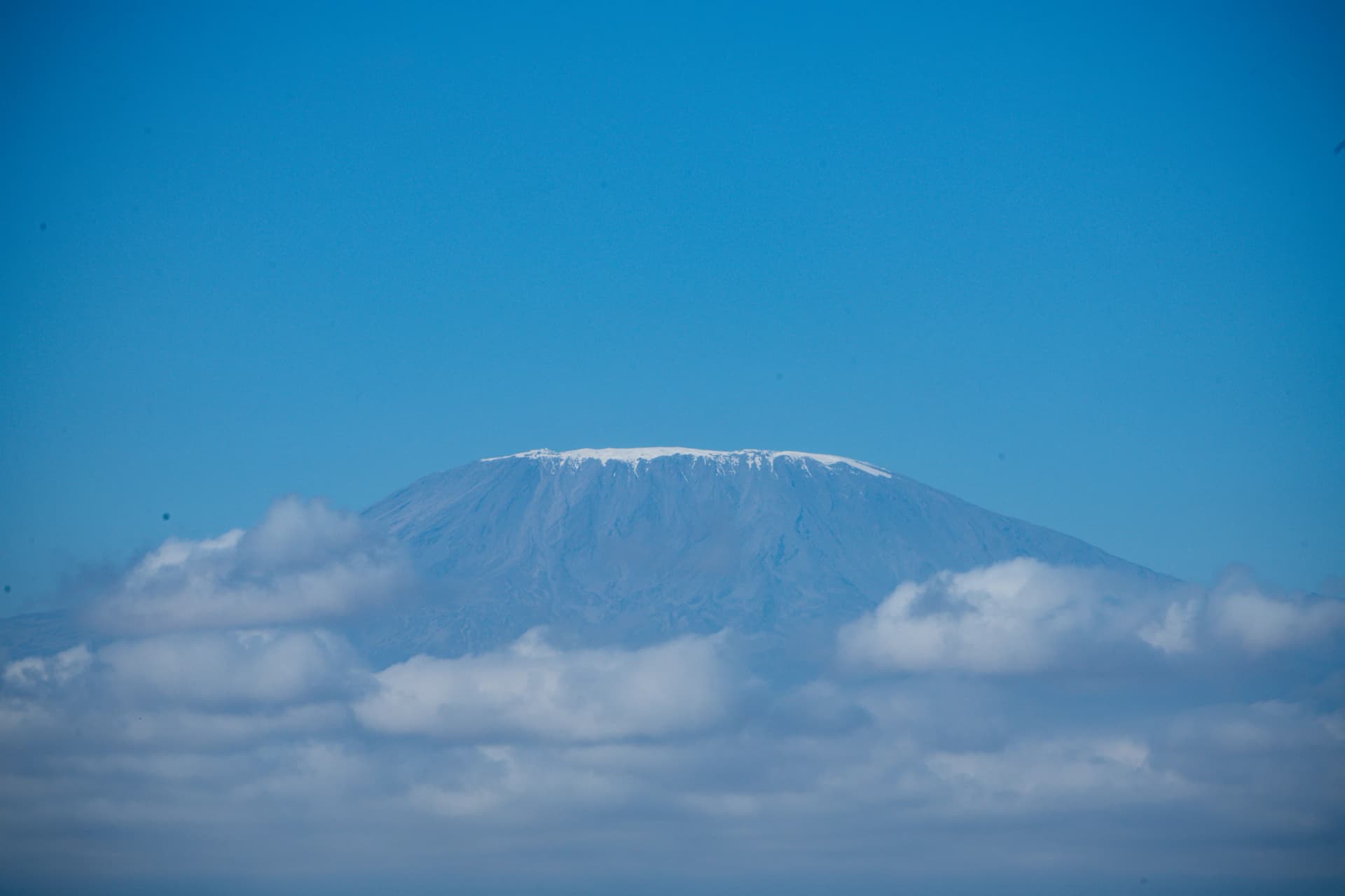Snow-capped Mount Kilimanjaro rising above the clouds under a blue sky