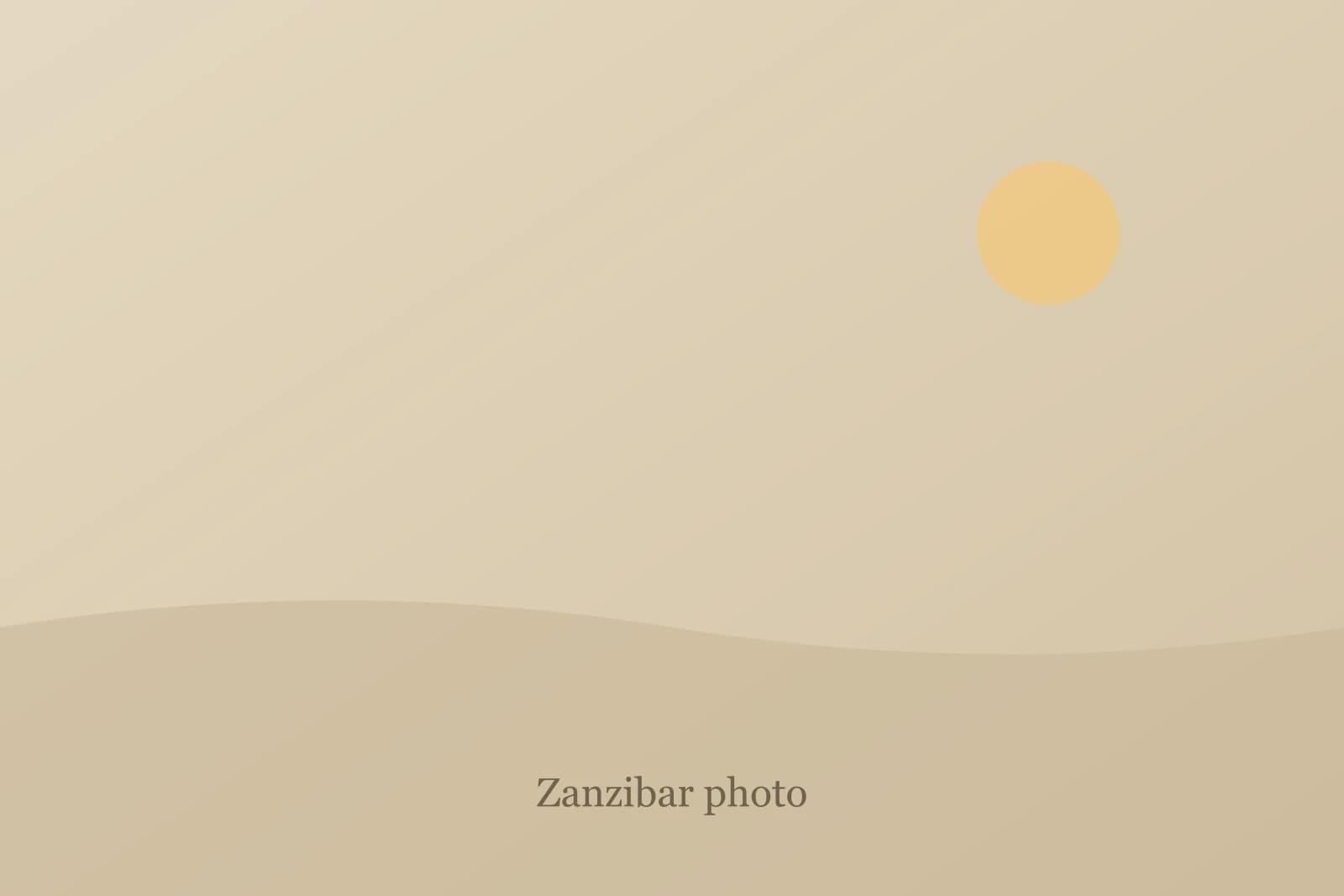 Placeholder for a Zanzibar beach photo